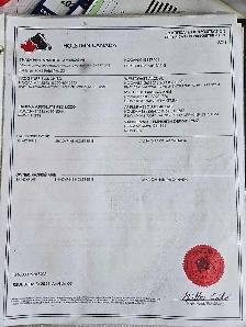 Registered Holstein breeder bull - Photo 3