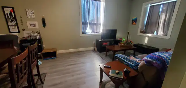 Beautiful One Bedroom Condo in Woodstock - Photo 2