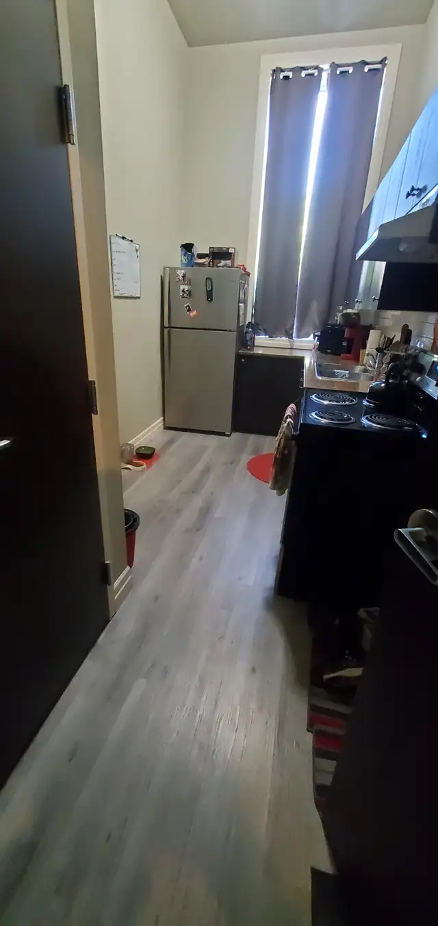 Beautiful One Bedroom Condo in Woodstock - Photo 3