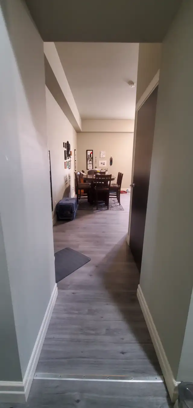 Beautiful One Bedroom Condo in Woodstock - Photo 4