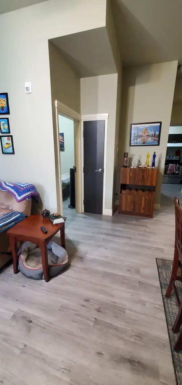 Beautiful One Bedroom Condo in Woodstock - Photo 5