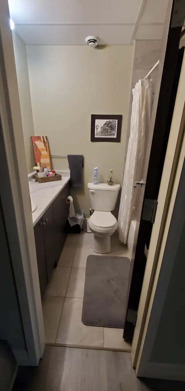 Beautiful One Bedroom Condo in Woodstock - Photo 7