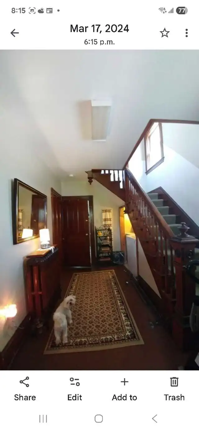 Quiet non-smoking room with private room - Photo 2