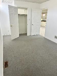 Large 2 Bedroom Bsmt – $2000 Utils & Parking – Dufferin/Eg - Photo 5