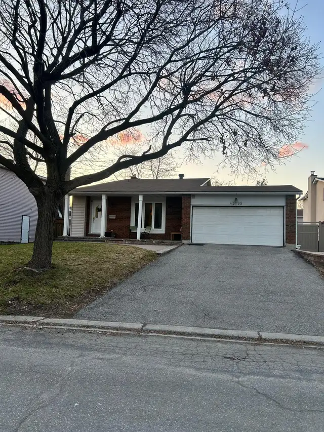 Private room for rent