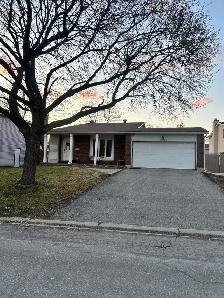 Private room for rent