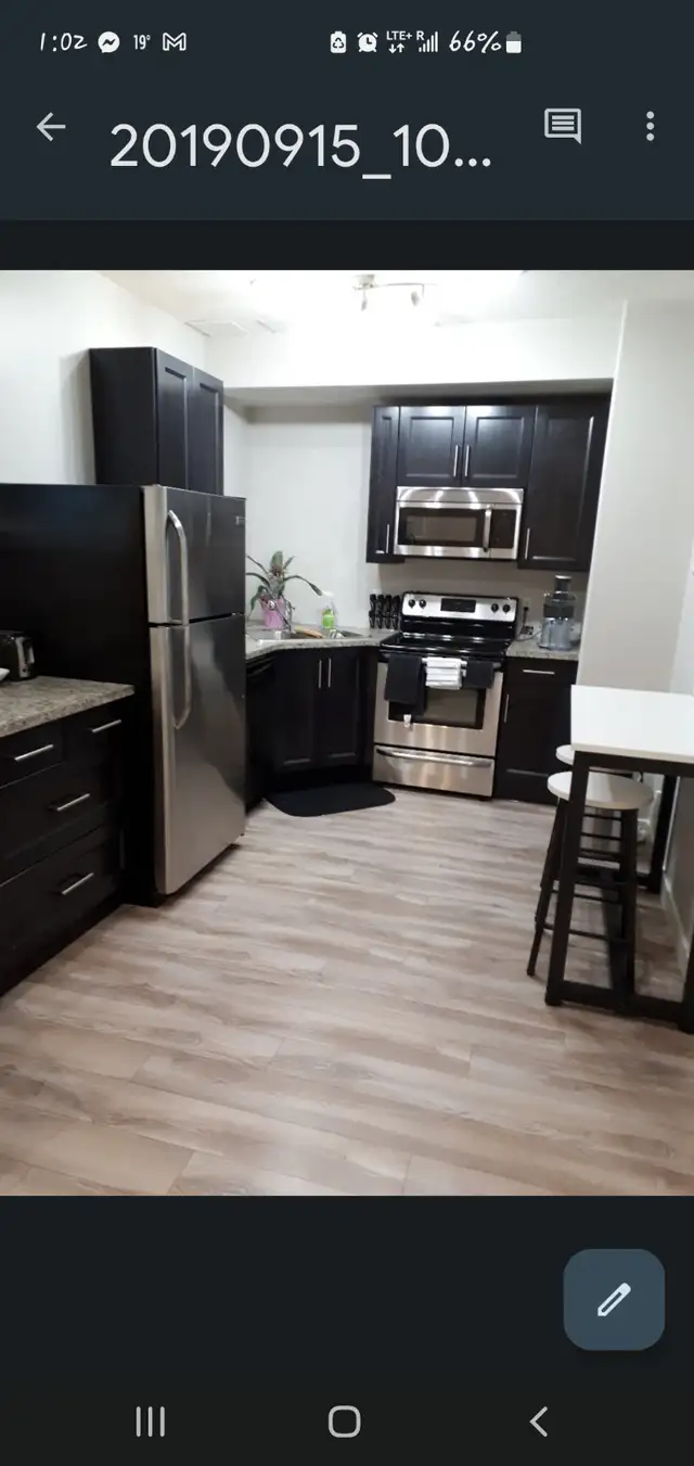 Separate entrance to one bedroom basement with your own laundry - Photo 4