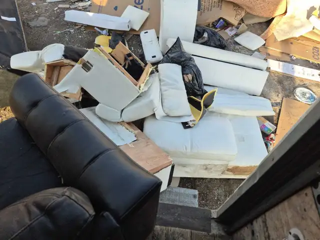 Tree cutting and junk removal services Affordable price