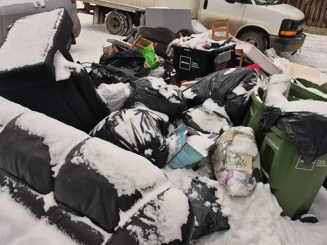 Tree cutting and junk removal services Affordable price - Photo 3