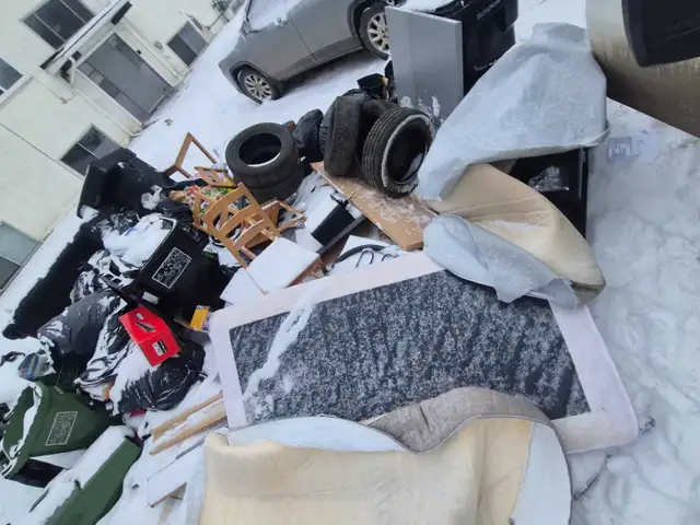 Tree cutting and junk removal services Affordable price - Photo 4