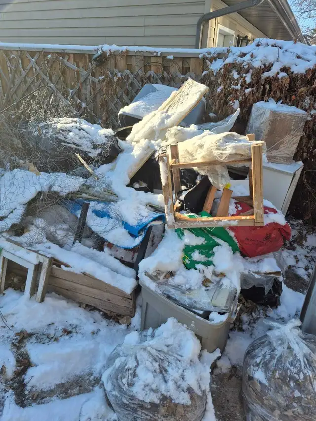 Tree cutting and junk removal services Affordable price - Photo 5