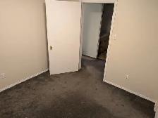 Bonnie Doon ROOM for RENT Basement Suite - Photo 8