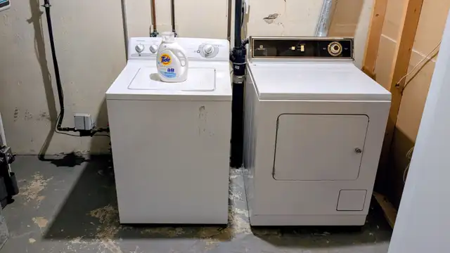 Bonnie Doon ROOM for RENT Basement Suite - Photo 10