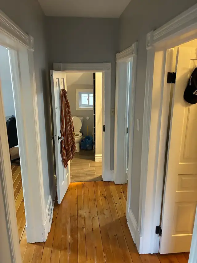 1 Bed 1 Bath Apartment - Photo 4
