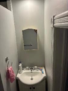 1 Bed 1 Bath Apartment - Photo 9