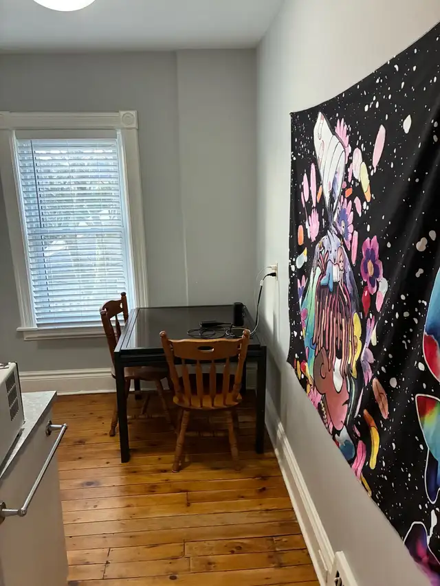 1 Bed 1 Bath Apartment - Photo 10