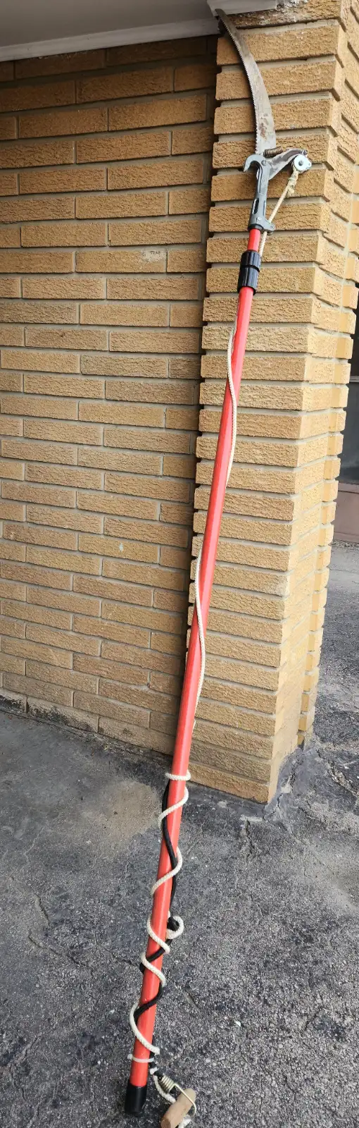 Saw for cutting the trees