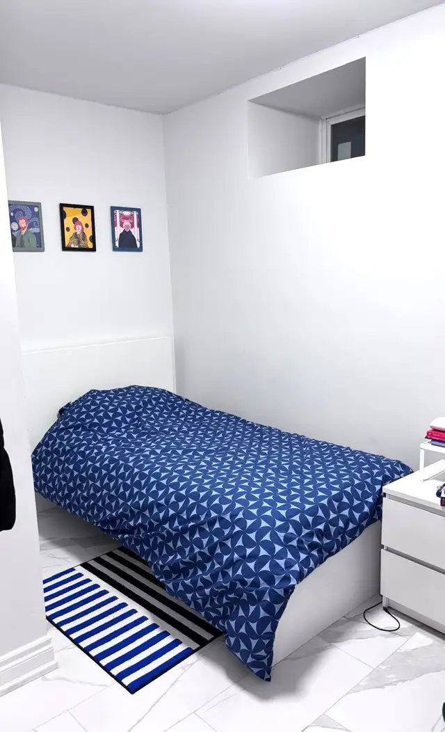 High park-New renovated 3Bdr 1Bath bsmt  apt ,Dog & Cat friendly - Photo 6