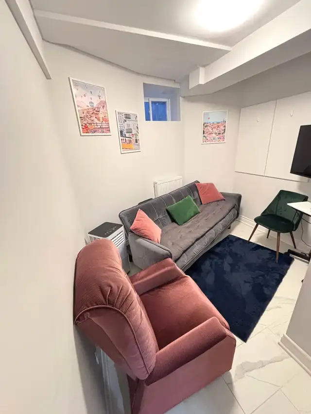 High park-New renovated 3Bdr 1Bath bsmt  apt ,Dog & Cat friendly - Photo 8