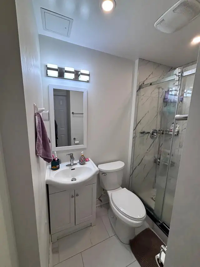 High park-New renovated 3Bdr 1Bath bsmt  apt ,Dog & Cat friendly - Photo 9