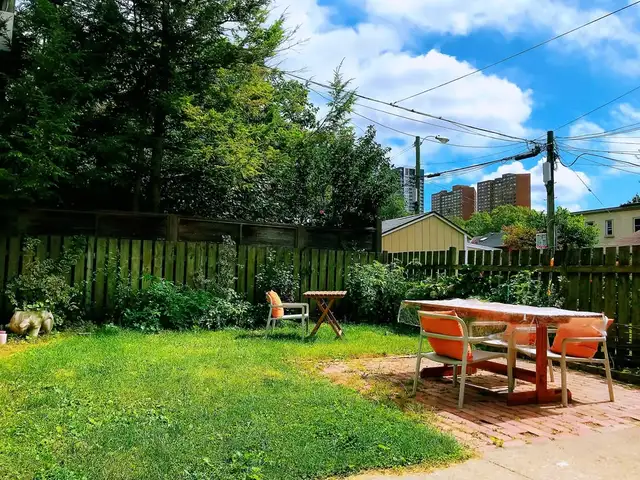 High park-New renovated 3Bdr 1Bath bsmt  apt ,Dog & Cat friendly - Photo 10