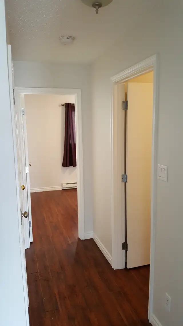 SPACIOUS – RENOVATED – PET FRIENDLY - Photo 4