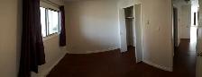 SPACIOUS – RENOVATED – PET FRIENDLY - Photo 8