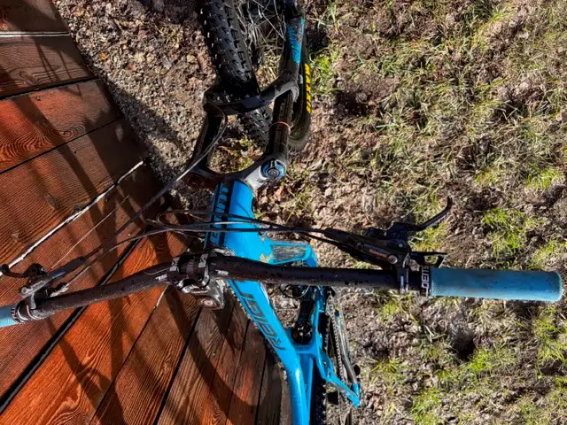 2018 XL Giant Reign Mountain Bike - Photo 3
