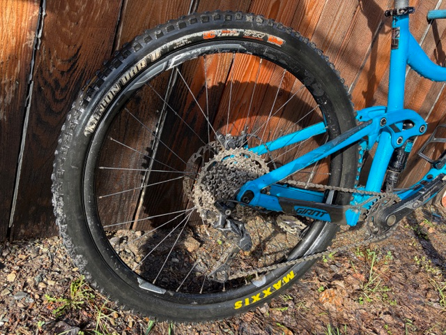 2018 XL Giant Reign Mountain Bike - Photo 4