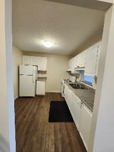 PureGlow Cleaning Service - Photo 9