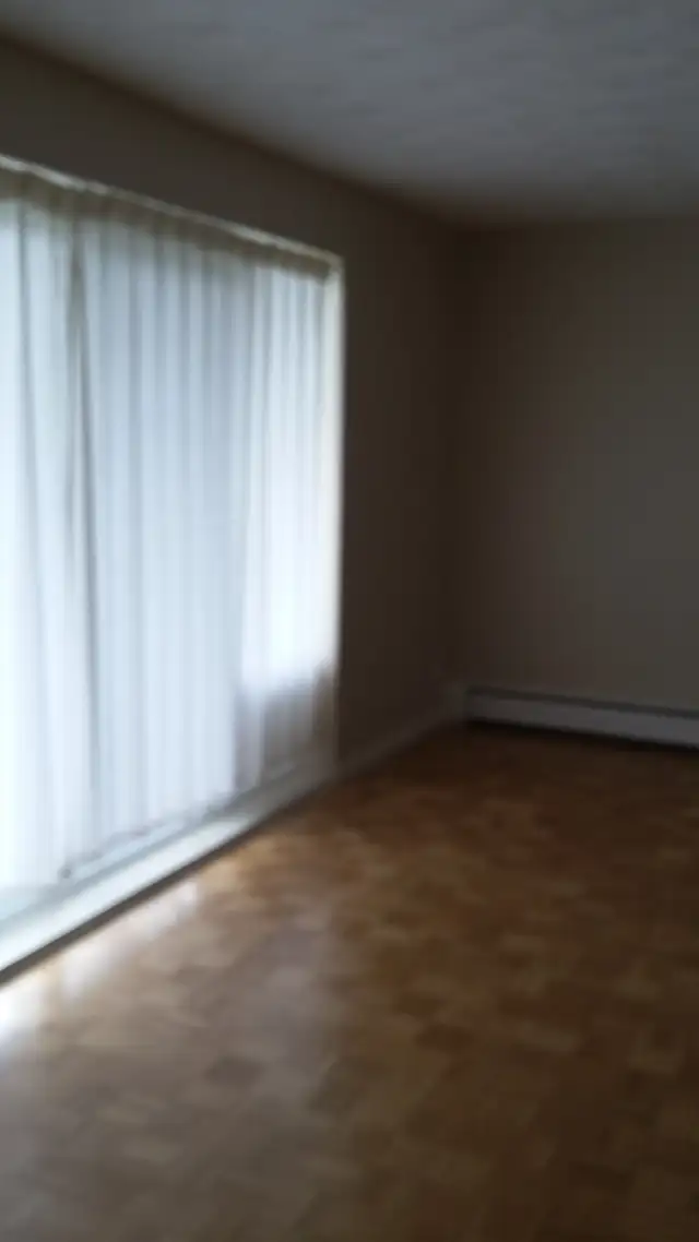 Bachelor suite at Georgian Apts. May 1st. - Photo 4