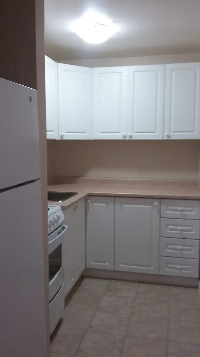 Bachelor suite at Georgian Apts. May 1st. - Photo 7