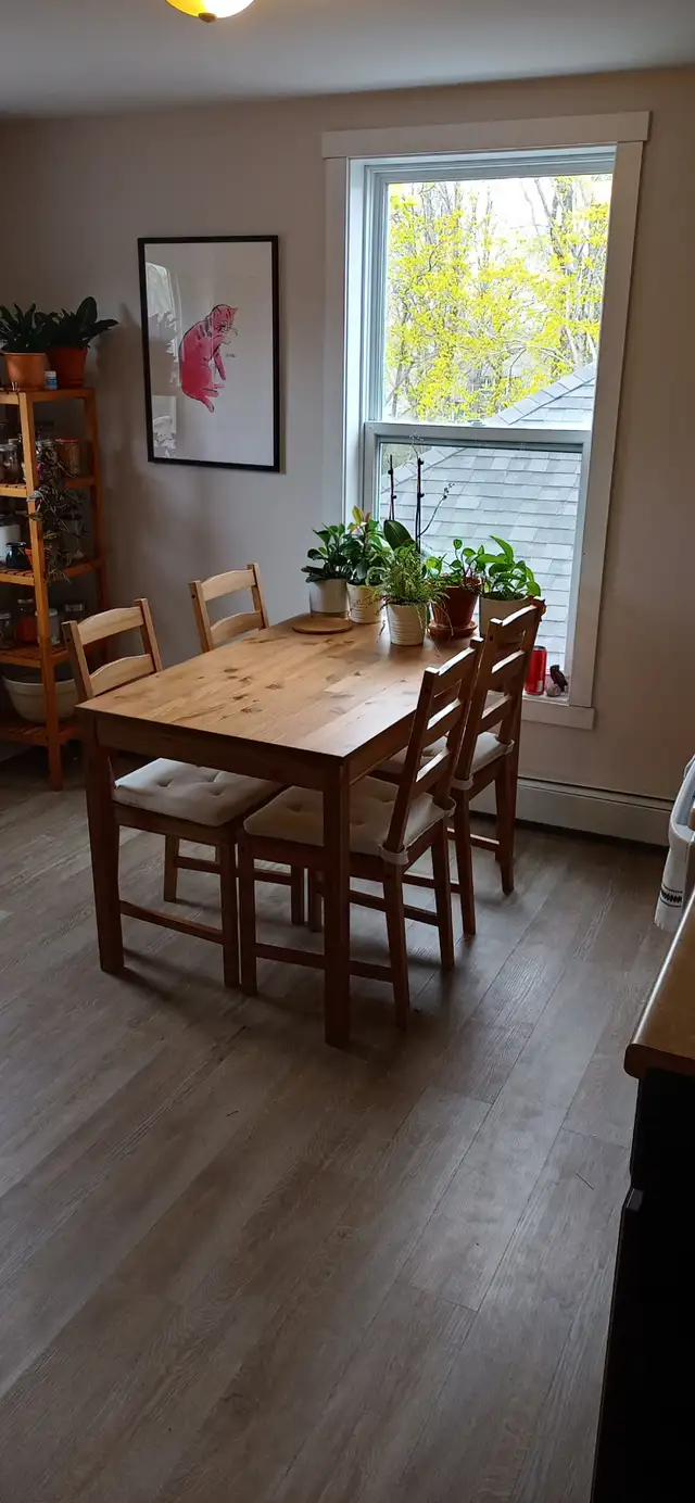 Available May or June 1st New Reno Large One BR Apt Quinpool Rd - Photo 8