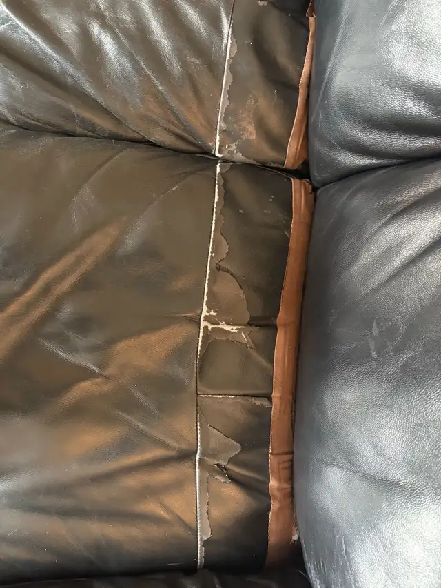 Free couch and loveseat - Photo 2