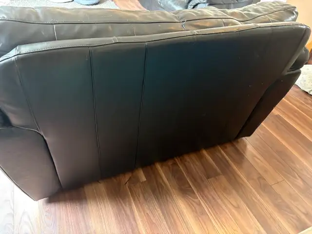 Free couch and loveseat - Photo 4