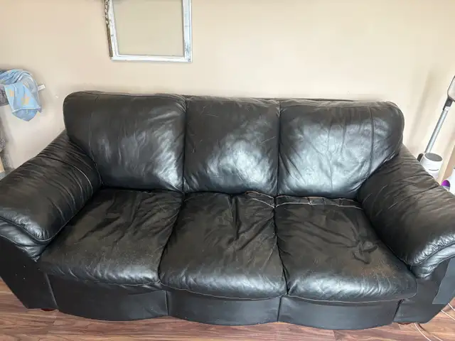 Free couch and loveseat - Photo 5