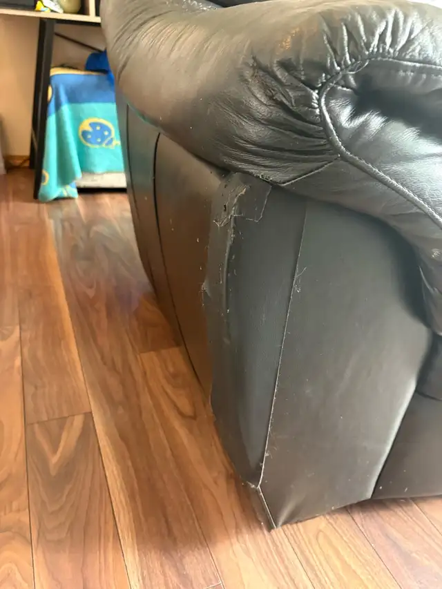 Free couch and loveseat - Photo 6