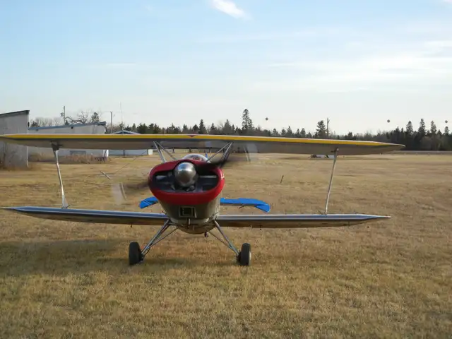 Starduster  SA100