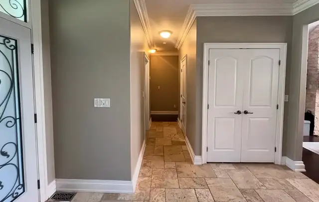 Painter Available for weekend - Photo 3