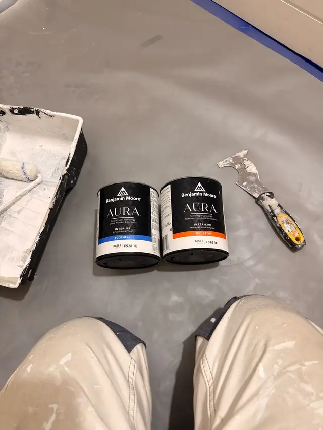 Painter Available for weekend - Photo 4