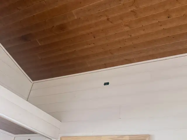 Painter Available for weekend - Photo 5