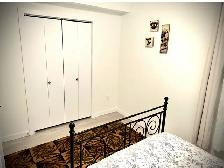 LEGAL BASEMENT APARTMENT IN CHAPPELLE AREA - Photo 5