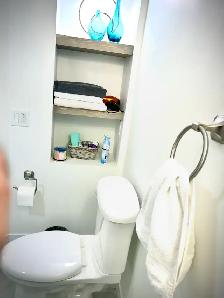 LEGAL BASEMENT APARTMENT IN CHAPPELLE AREA - Photo 6
