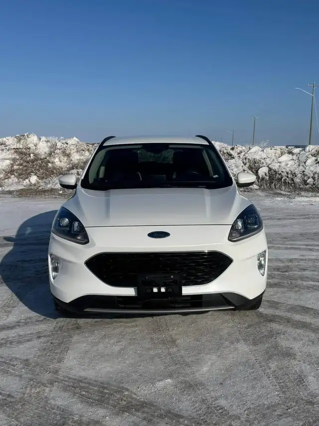 2020 Ford Escape SEL - Photo 2