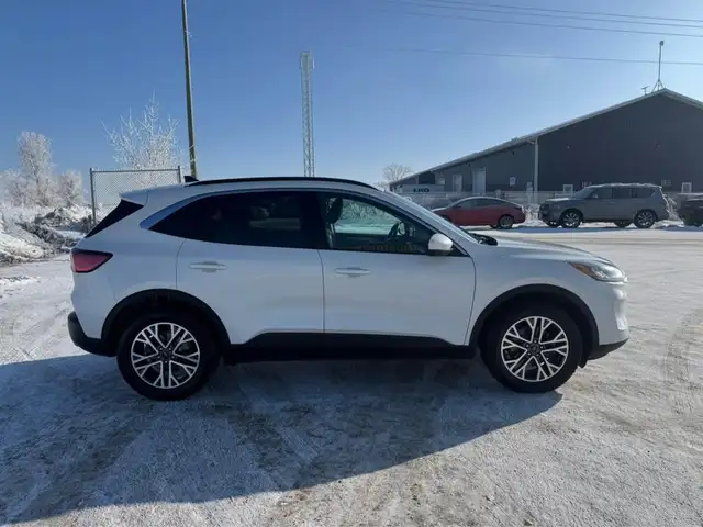 2020 Ford Escape SEL - Photo 4