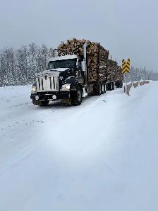 Log Truck Driver