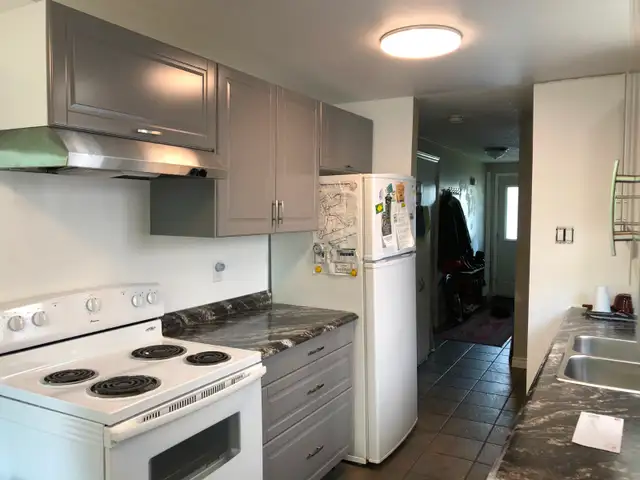 Large Basement Bedroom All Inclusive - Photo 2