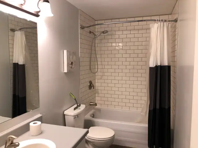 Large Basement Bedroom All Inclusive - Photo 6