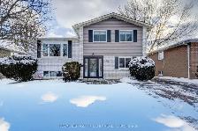 4 Bedroom 2 Bath Full House For Rent