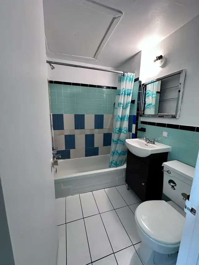 Downtown Near McGill All Included Furnitured Studio for Rent !! - Photo 6